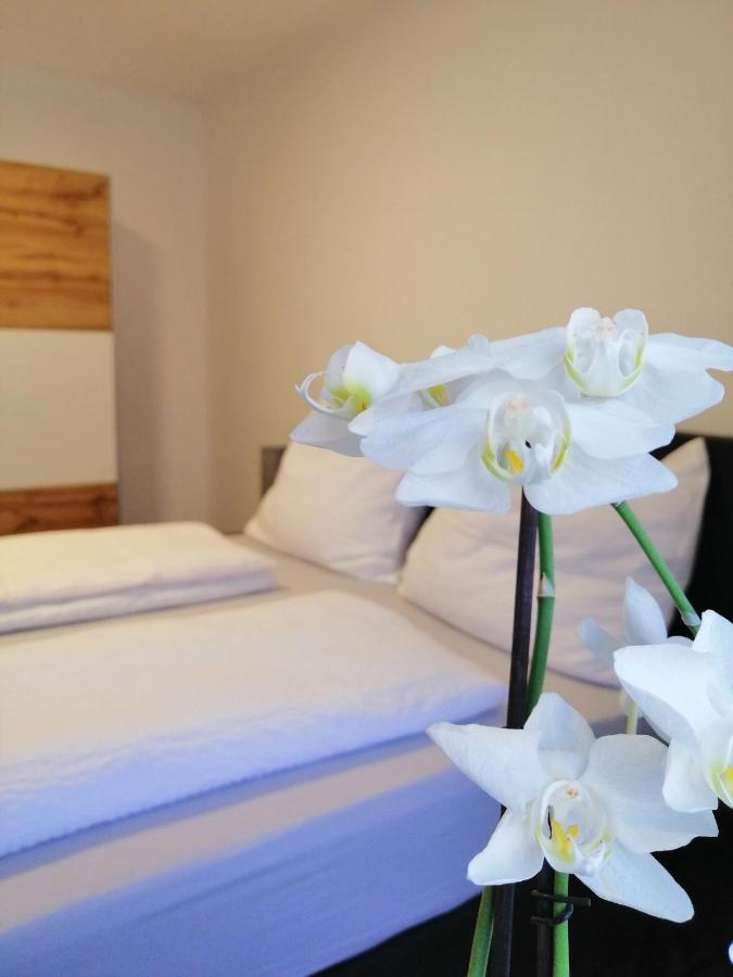 Appartement Tauernlife 蓬高地区施瓦察赫 外观 照片